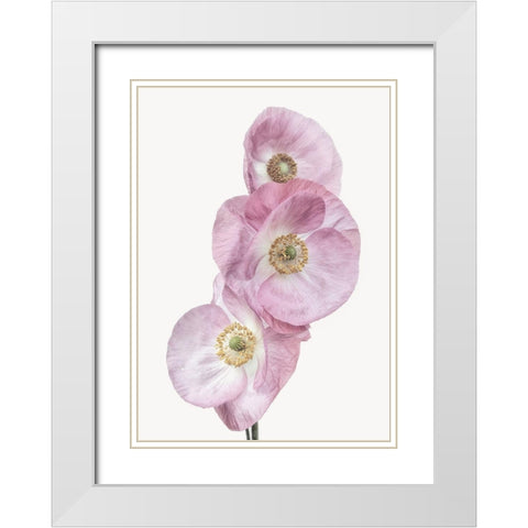 Poppies White Modern Wood Framed Art Print with Double Matting by Gronkjar, Lotte