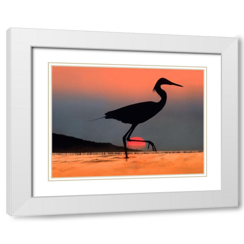 Egret Kenya-Dig Comp White Modern Wood Framed Art Print with Double Matting by Fitzharris, Tim