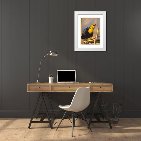 Yellow-headed Blackbird White Modern Wood Framed Art Print with Double Matting by Fitzharris, Tim