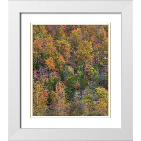 Boxley Valley-Buffalo National River-Arkansas White Modern Wood Framed Art Print with Double Matting by Fitzharris, Tim