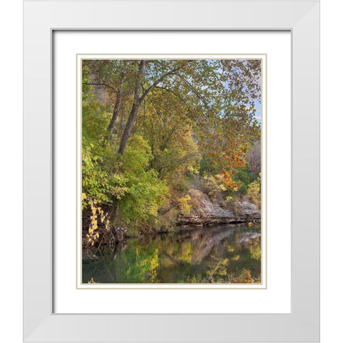 Crooked Creek near Harrison-Arkansas White Modern Wood Framed Art Print with Double Matting by Fitzharris, Tim