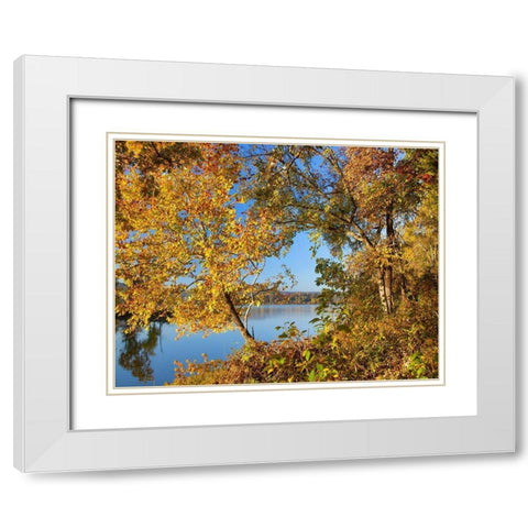 Lake Sequoyah Autumn-Arkansas White Modern Wood Framed Art Print with Double Matting by Fitzharris, Tim