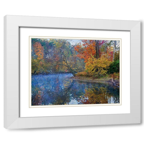 Petit Jean River-Petit Jean State Park-Arkansas. White Modern Wood Framed Art Print with Double Matting by Fitzharris, Tim