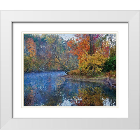 Petit Jean River-Petit Jean State Park-Arkansas. White Modern Wood Framed Art Print with Double Matting by Fitzharris, Tim