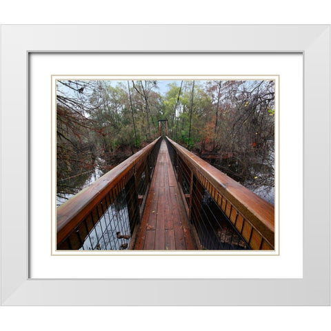 Santa Fe River-OLeno State Park-Florida White Modern Wood Framed Art Print with Double Matting by Fitzharris, Tim