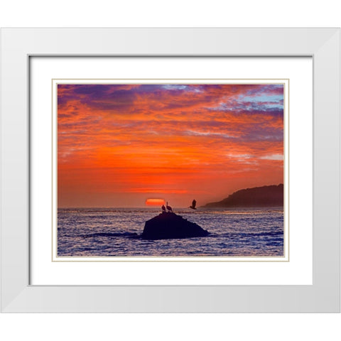 Big Sur Coast-California-USA White Modern Wood Framed Art Print with Double Matting by Fitzharris, Tim