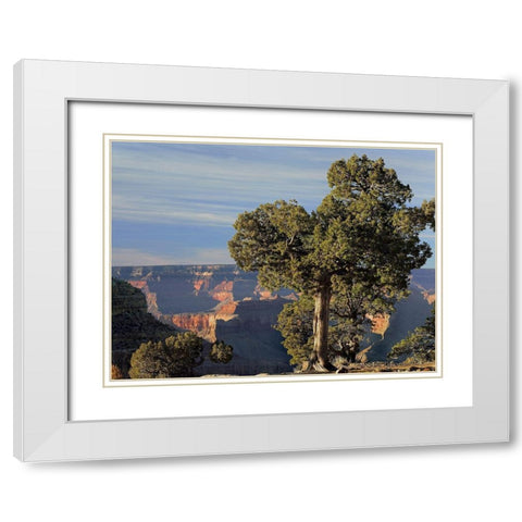 Hermits Rest-South Rim of Grand Canyon National Park-Arizona White Modern Wood Framed Art Print with Double Matting by Fitzharris, Tim