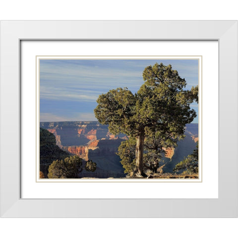 Hermits Rest-South Rim of Grand Canyon National Park-Arizona White Modern Wood Framed Art Print with Double Matting by Fitzharris, Tim