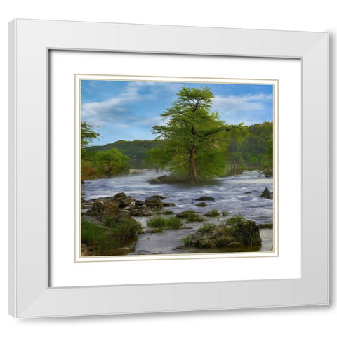 Pedernales River-Pedernales Falls State Park-Texas White Modern Wood Framed Art Print with Double Matting by Fitzharris, Tim