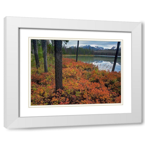 Sawtooth National Recreation Area-Idaho White Modern Wood Framed Art Print with Double Matting by Fitzharris, Tim