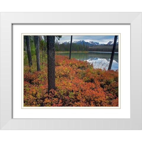 Sawtooth National Recreation Area-Idaho White Modern Wood Framed Art Print with Double Matting by Fitzharris, Tim
