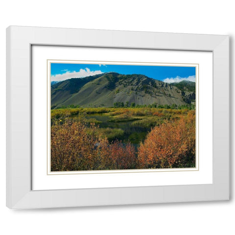Boulder Mountains and Trail Creek beaver pond in autumn-Idaho White Modern Wood Framed Art Print with Double Matting by Fitzharris, Tim