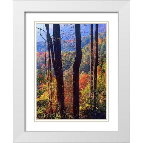 Blue Ridge Parkway near Deep Gap-North Carolina White Modern Wood Framed Art Print with Double Matting by Fitzharris, Tim