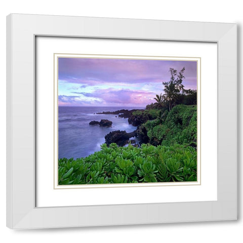 Hana Coast Maui White Modern Wood Framed Art Print with Double Matting by Fitzharris, Tim