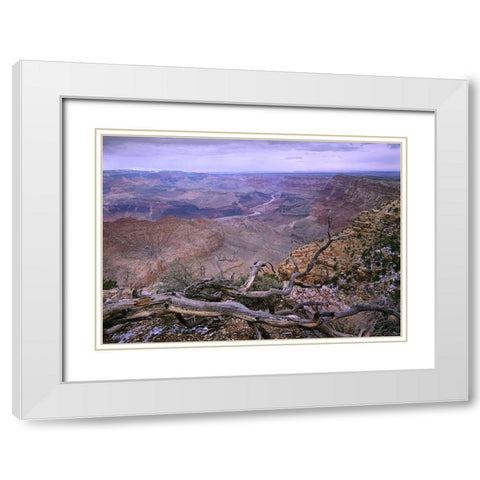 Colorado River from Desert View-Grand Canyon National Park-Arizona White Modern Wood Framed Art Print with Double Matting by Fitzharris, Tim