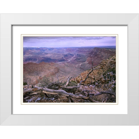 Colorado River from Desert View-Grand Canyon National Park-Arizona White Modern Wood Framed Art Print with Double Matting by Fitzharris, Tim
