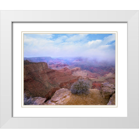 Moran Point-South Rim-Grand Canyon National Park-Arizona White Modern Wood Framed Art Print with Double Matting by Fitzharris, Tim