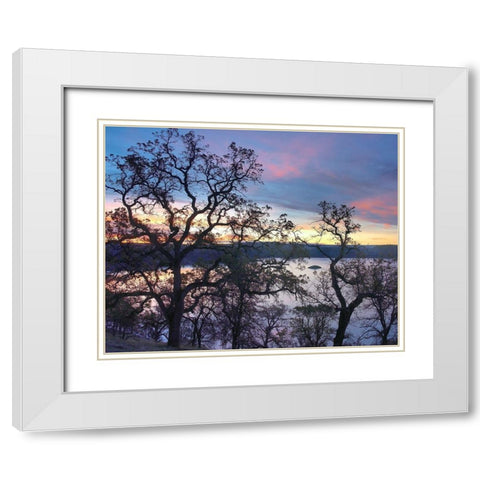 Melones Lake-Calaveras County-California White Modern Wood Framed Art Print with Double Matting by Fitzharris, Tim