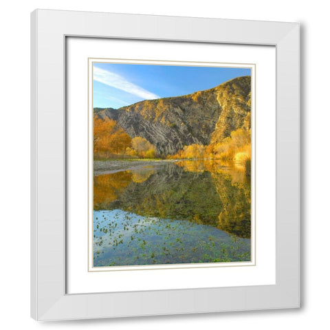 Mountains Reflected in Santa Ynez River-California White Modern Wood Framed Art Print with Double Matting by Fitzharris, Tim