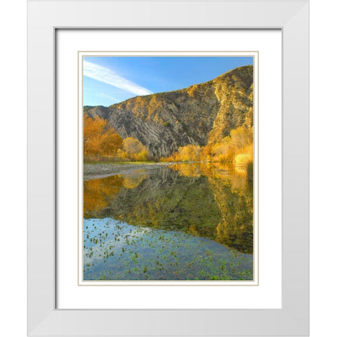 Mountains Reflected in Santa Ynez River-California White Modern Wood Framed Art Print with Double Matting by Fitzharris, Tim