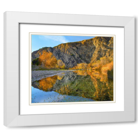 Santa Ynez Mountains Reflected in Santa Ynez River-California White Modern Wood Framed Art Print with Double Matting by Fitzharris, Tim