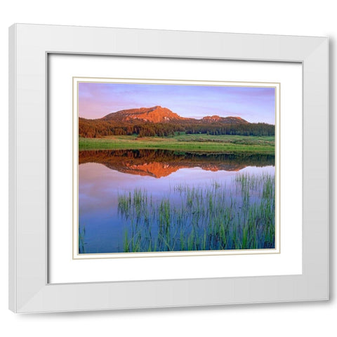 Tripod Peak at Togwotee Pass-Wyoming White Modern Wood Framed Art Print with Double Matting by Fitzharris, Tim