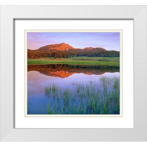 Tripod Peak at Togwotee Pass-Wyoming White Modern Wood Framed Art Print with Double Matting by Fitzharris, Tim