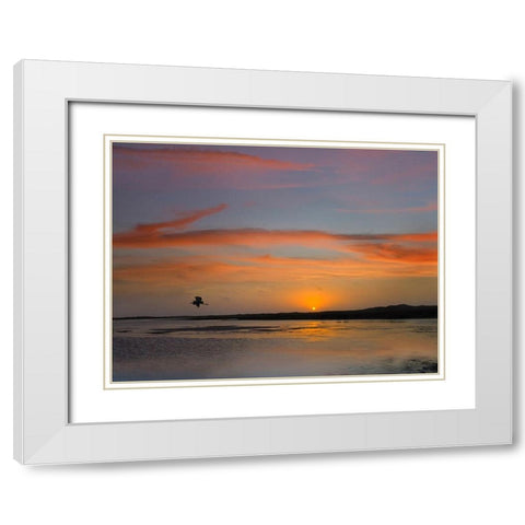 Great Blue Heron at Mustang Island-Texas White Modern Wood Framed Art Print with Double Matting by Fitzharris, Tim