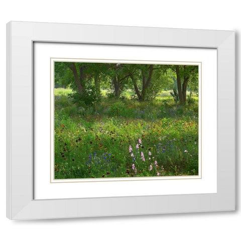 Wildflower Meadow at Jacksonport State Park-Arkansas White Modern Wood Framed Art Print with Double Matting by Fitzharris, Tim