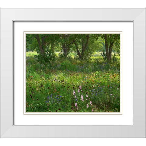 Wildflower Meadow at Jacksonport State Park-Arkansas White Modern Wood Framed Art Print with Double Matting by Fitzharris, Tim