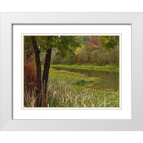 Wilton Landing at Millwood Lake-Arkansas White Modern Wood Framed Art Print with Double Matting by Fitzharris, Tim