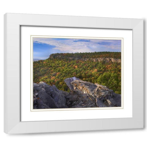 Cedar Canyon at Palisades Overlook-Petit Jean State Park-Arkansas White Modern Wood Framed Art Print with Double Matting by Fitzharris, Tim