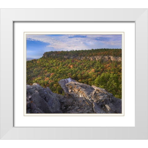 Cedar Canyon at Palisades Overlook-Petit Jean State Park-Arkansas White Modern Wood Framed Art Print with Double Matting by Fitzharris, Tim