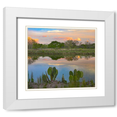 South Llano River State Park-Texas. White Modern Wood Framed Art Print with Double Matting by Fitzharris, Tim