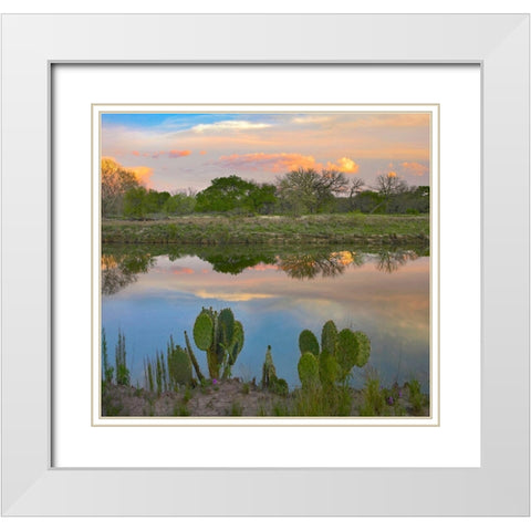 South Llano River State Park-Texas. White Modern Wood Framed Art Print with Double Matting by Fitzharris, Tim