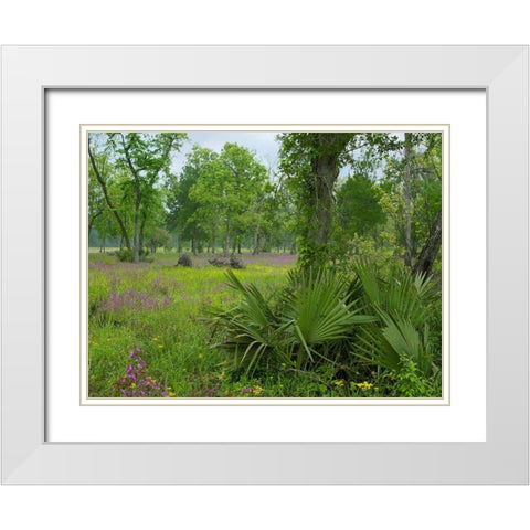 Big Thicket National Preserve-Lance Rosier-Texas White Modern Wood Framed Art Print with Double Matting by Fitzharris, Tim