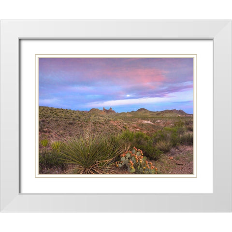 Mule Ears Peaks-Big Bend National Park-Texas White Modern Wood Framed Art Print with Double Matting by Fitzharris, Tim