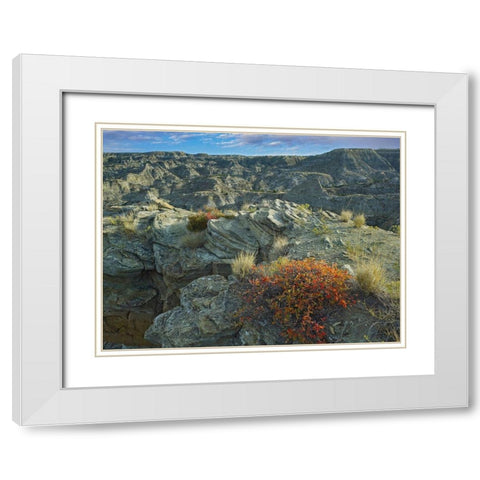 Makoshika State Park-Montana White Modern Wood Framed Art Print with Double Matting by Fitzharris, Tim