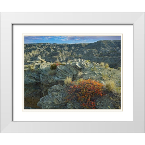 Makoshika State Park-Montana White Modern Wood Framed Art Print with Double Matting by Fitzharris, Tim