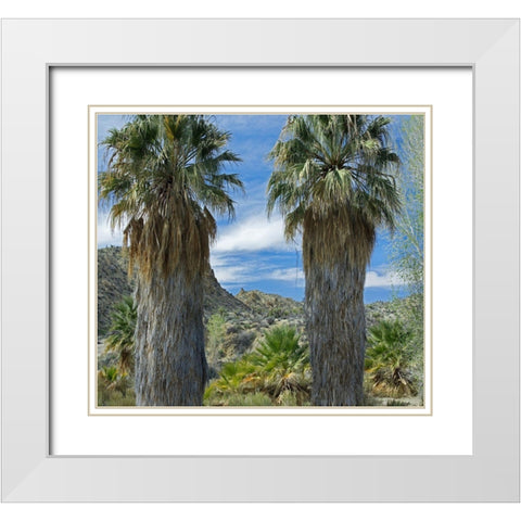 Cottonwood Springs-Joshua Tree National Park-California White Modern Wood Framed Art Print with Double Matting by Fitzharris, Tim