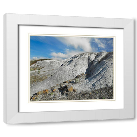 Rainbow Forest-Petrified Forest National Park-Arizona White Modern Wood Framed Art Print with Double Matting by Fitzharris, Tim