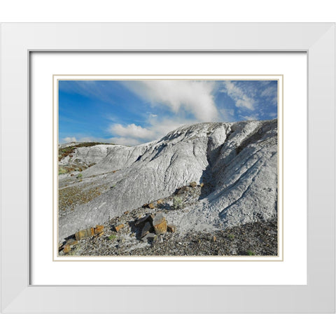 Rainbow Forest-Petrified Forest National Park-Arizona White Modern Wood Framed Art Print with Double Matting by Fitzharris, Tim