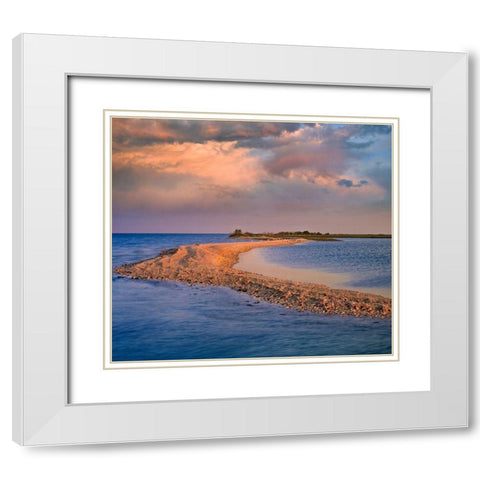 Oystercatcher Point near Rockport-Texas White Modern Wood Framed Art Print with Double Matting by Fitzharris, Tim