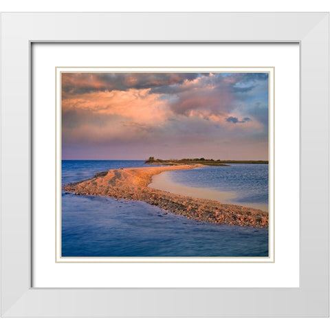 Oystercatcher Point near Rockport-Texas White Modern Wood Framed Art Print with Double Matting by Fitzharris, Tim