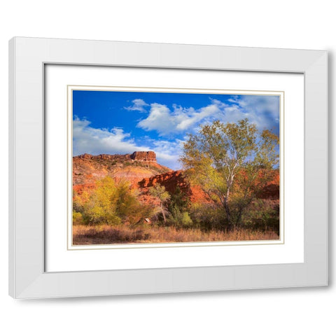 Sorensen Point-Palo Duro Canyon State Park-Texas White Modern Wood Framed Art Print with Double Matting by Fitzharris, Tim