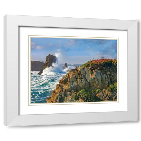 Pounding Waves at Piedras Blancas-California White Modern Wood Framed Art Print with Double Matting by Fitzharris, Tim