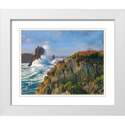 Pounding Waves at Piedras Blancas-California White Modern Wood Framed Art Print with Double Matting by Fitzharris, Tim