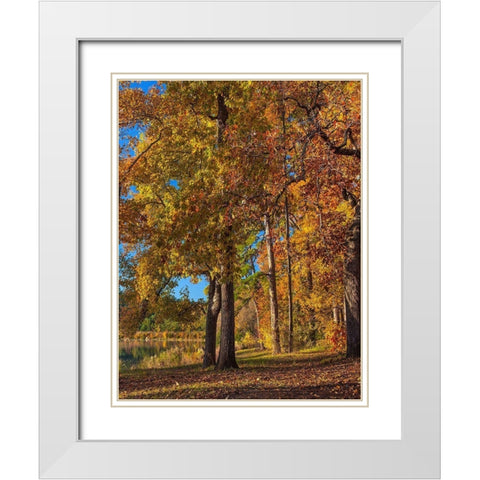 Tyler Lake State Park-Texas White Modern Wood Framed Art Print with Double Matting by Fitzharris, Tim