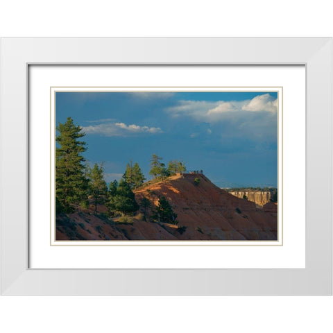 Sunset Point-Bryce Canyon National Park-Utah White Modern Wood Framed Art Print with Double Matting by Fitzharris, Tim