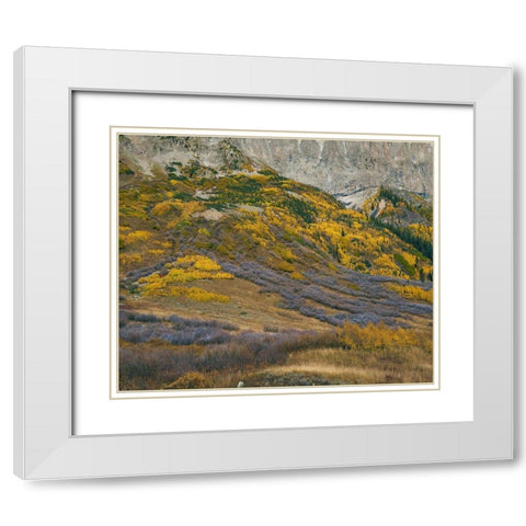 Sub-alpine Forest-Gothic Mountain-Colorado White Modern Wood Framed Art Print with Double Matting by Fitzharris, Tim